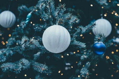 Tree image